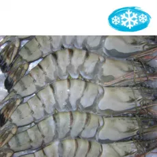 Gambas Black Tiger